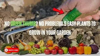 No Green Thumb? No Problem! 5 Easy Plants to Grow in Your Garden