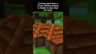 Wtf is ts?! #hytale #hytalegame #hytaleleaks #hytalereleasedate #gaming #minecraft #hytalebeta #fyp