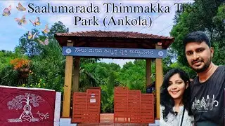 Saalumarada timmakka tree park Ankola | Tree Park in Karnataka | #ankola