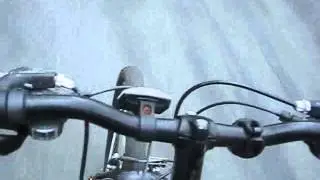 END OF YEAR DAMA EDIT RAY DELEON