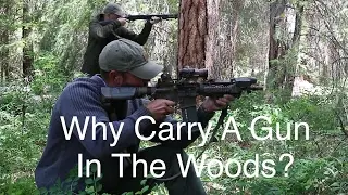 Why Carry A Gun In The Woods? Do I really need a firearm in the Wilderness?