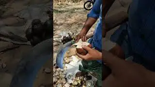 Nungu Cutting Style 😍 bypass Master 😍 #aravindsview #shorts #shortsviral #cool