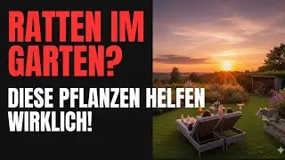 Diese Pflanzen halten Ratten fern 🐀🌿  Ganz nat&uuml;rlich & ohne Gift! ✅