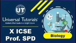 SND26 - X ICSE BIOLOGY SPD 11/11/2025 - CH 11 Endocrine Glands.