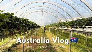 【vlog】2ndビザ取得！人生初ファームjob🍓| キャンプ生活, オーストラリアワーホリ