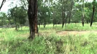 Warwick Gold metal detecting Area QLD