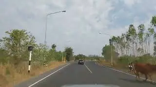 Local Road in Ubon Ratchathani province