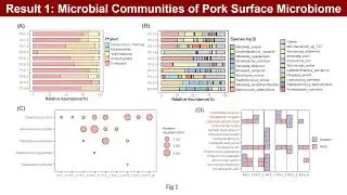 iMetaOmics | Pathogenies and resistome of pork using metagenomic and isolation strategies