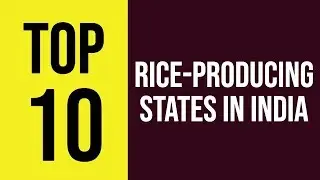 Top 10 Rice Producing States In India