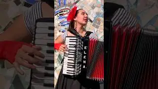 French accordion #accordion #french #elenastenkina #girl #woman #accordionist #music #cover