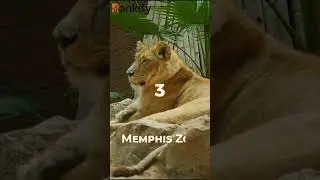 Top 5 Places In Memphis, Tennessee