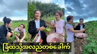 ခြံထဲသို့အလည်တစ်ခေါက်