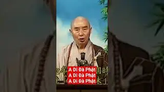 C&aacute;ch đối diện với nghịch cảnh th&ocirc;ng minh nhất? #adidaphat #binhanmayman #vangsanhtayphuong