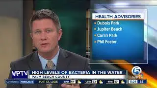 Health advisory issued at 7 beaches in Palm Beach County