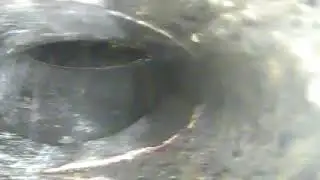 LV  Smart View Inspection