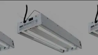 Hydroponic Lights, Bulbs, Nutrients - Here At Edenz Hydro, Detroit, Michigan