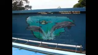 Pool art at Huapai Distric School
