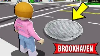 Roblox | Secrets Brookhaven Has Been Hiding From You!