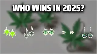 The Top 5 Best Pot Leaf Earrings in 2025 - Must Watch Before Buying!