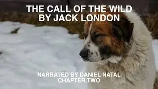 Call of the Wild Chapter 2