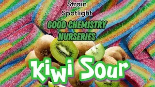 Kiwi Sour - Strain Spotlight - Good Chemistry Nurseries