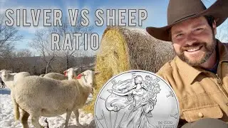 What the Historical Silver vs Sheep Ratio Says About Silver Today