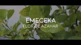 Flor de azahar - Kuis aKa Emeceká (LMP)