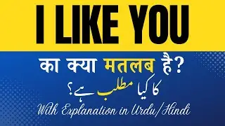 I like you Meaning in Hindi |I like you Ka Kya Matlab Hota Hai' Hindi/Urdu Explanation Included