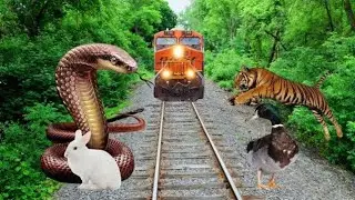 Snake 🐍 vs lion 🦁 vs scorpion 🦂 vs raptor VFX funny video