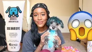 Opawz dog hair dye