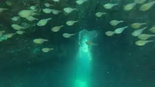 hidden world beneth: epic cave dive