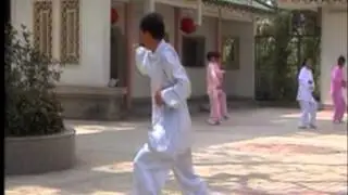 Chen Style Tai Chi Xinjia Yilu - Grandmaster Gou Kongjie