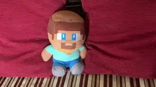 Poor poor Steve