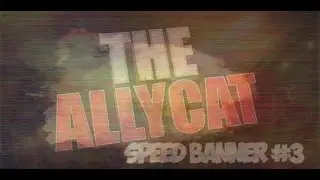 speed banner#3 TheAllycat3372