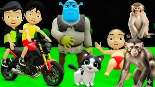 Monkey taking bath in cold | Billi ke bachche | Cat cartoon | cat videos | pagal beta joke of pag...
