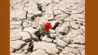 The Wilderness: A Matter of Life or Death