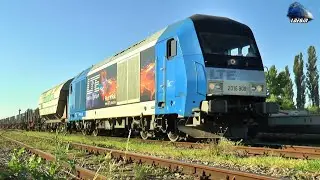 Siemens ER20 Hercules 2016 909-1 & Marfar LTE Freight Train in Oradea Est Triaj - 13 August 2020