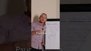 The Real Reason People Do Psychedelic Therapy