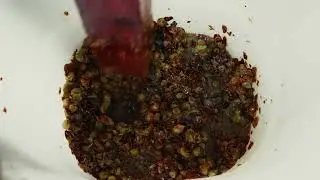 Lorieri - Podere Scurtarola - Passionate, natural, heroic winemakers