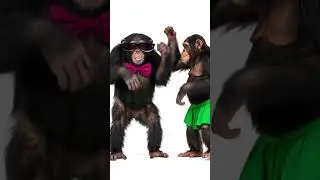 50k likes for my girlfriend❤️#trending #funny #monkey #cute #comedy #ytshorts