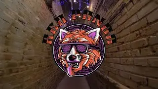 Red Panda - Live From The Pour House Music Hall [Full Live Album Video]