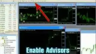 Fap Turbo Live Trading