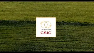 Microbiome CSIC Hub: Where Science Connects with Life