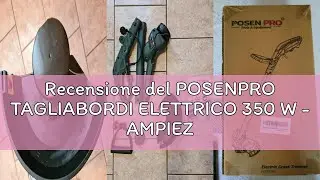 Recensione del POSENPRO TAGLIABORDI ELETTRICO 350 W - AMPIEZZA TAGLIO 23 cm, ALIMENTAZIONE FILO AUTO