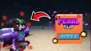 Most Insane Application for Pearl SMP @SpunkyInsaan20