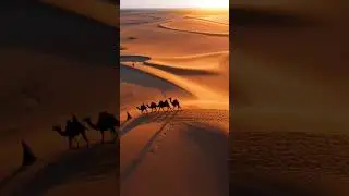 Endless dunes &mdash; a timeless journey across the golden Sahara Desert #ai #aishorts #aiart