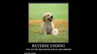 Adopting a dog all endings (6-10)