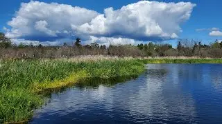 Beautiful Swan Lake, in South Saanich