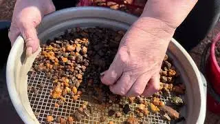 Zircon Hunting, Gemtree, Plenty Hwy, Red Centre, Northern Territory