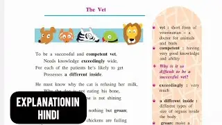 8TH Class English Chapter 4.1 The Vet EXPLAIN IN  HINDI  state  board  
